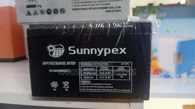 Sunnypex 12 Ah Deep Cycle Battery