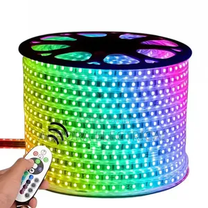 50 MTRS Multi Color Snake Light/RGB Snake