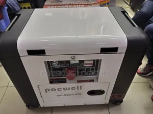 Pacwell 10 Kva Dual Phase With Ats