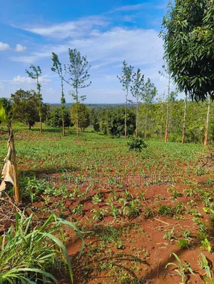 Kenol Prime Plots