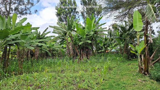 Prime 1-Acre Development Land – Ololua Dc Area, Ngong - thumbnail 3