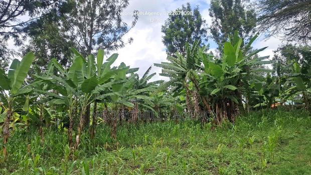Prime 1-Acre Development Land – Ololua Dc Area, Ngong - thumbnail 7