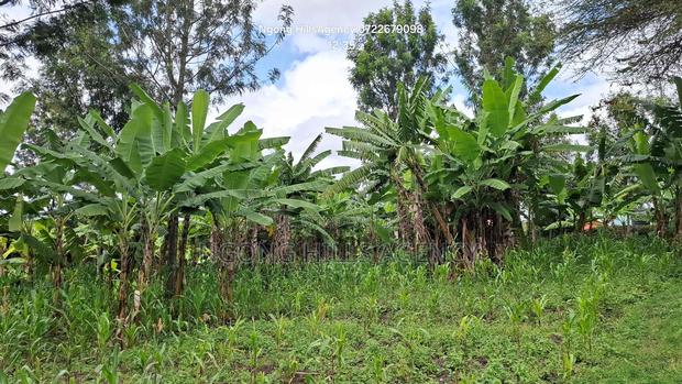 Prime 1-Acre Development Land – Ololua Dc Area, Ngong - thumbnail 8