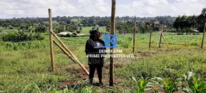 Plots for Sale – Kikuyu, Kerwa-Kiroe