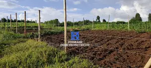Plots for Sale – Kikuyu, Kerwa-Kiroe