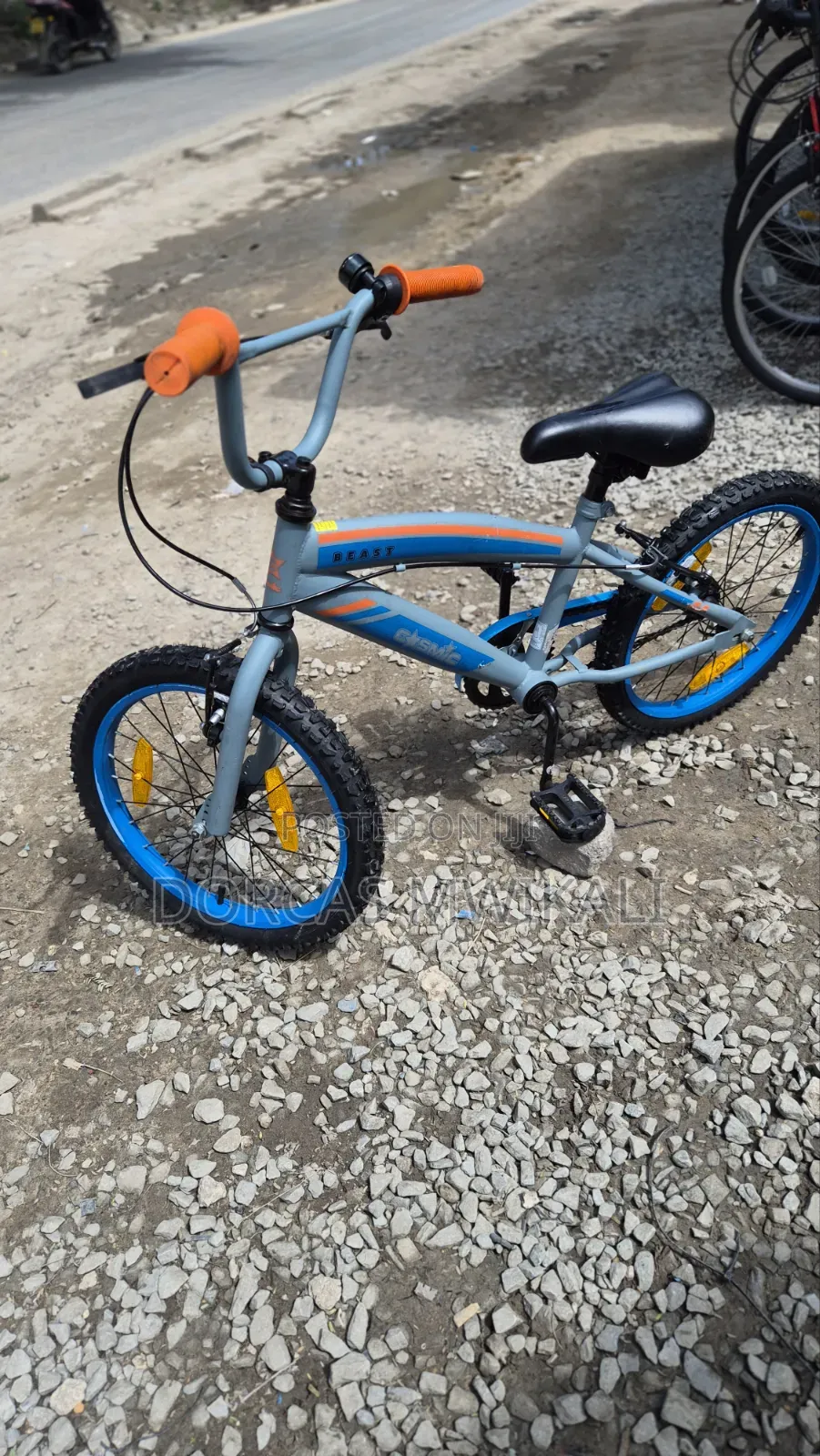 Cosmic Beast BMX