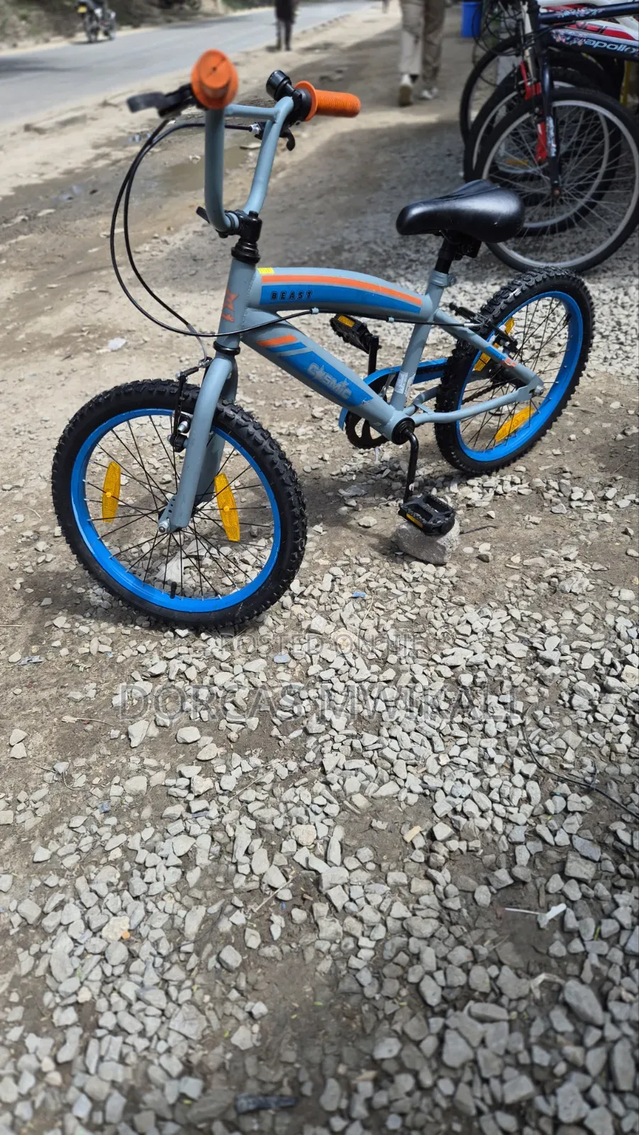 Cosmic Beast BMX