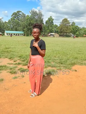Office Accountant