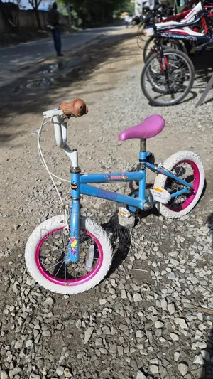 Blue Huffy Kid's Bike