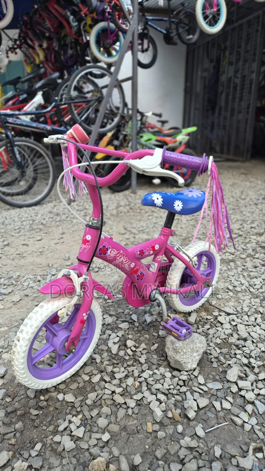 Pink Suzy Kid's Bike