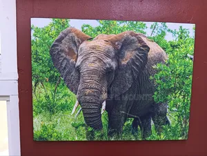Art Mounts A3 Size