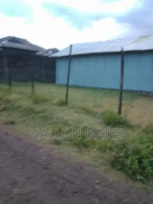 Machakos Junction Chumvi Plot 50x100