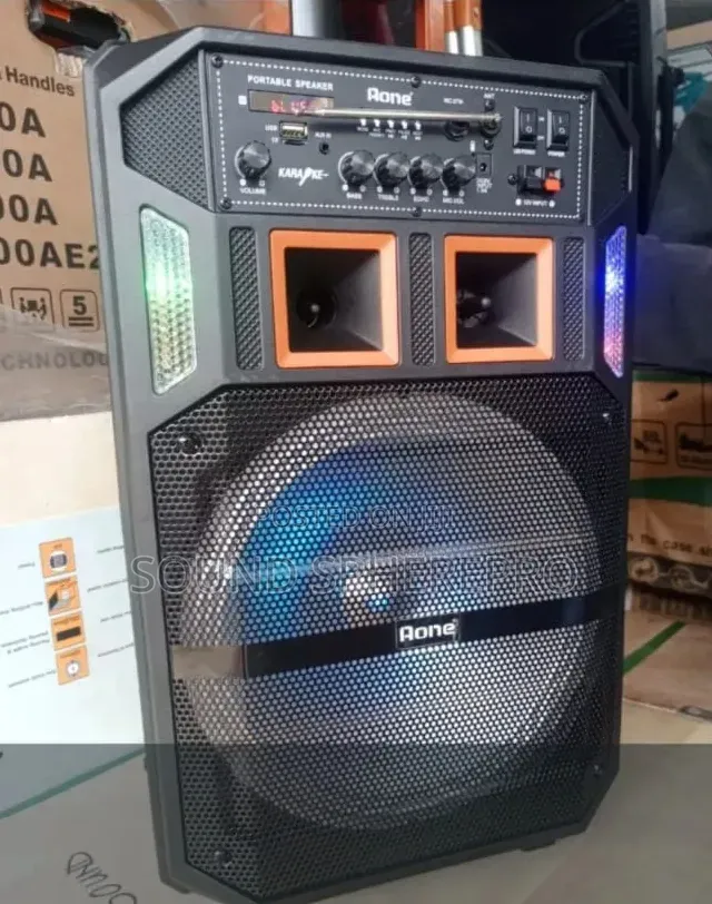 Aone 12 Inch Powered Speaker
