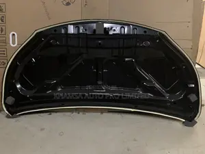 Bonnet Nv200