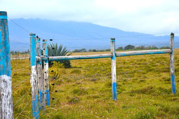 Prime Plot 50 by 100 in Naivasha - thumbnail 2