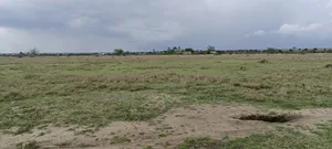 50*100 Plots In Kitengela
