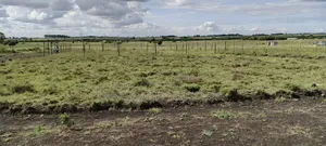 50*100 Plots In Kitengela