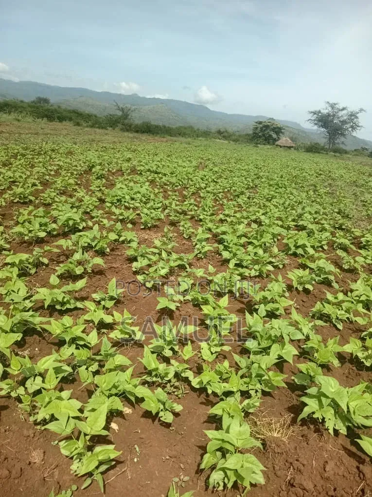 1acre Piece of Land at Kahuhu Rumuruti