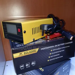 Battery Charger Professional on Battery Charging BLM-866c Atv24v