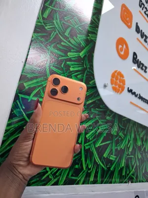 Apple iPhone 17 Pro Max 256 GB Orange