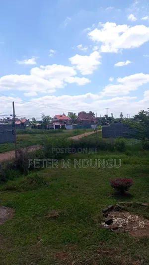 Ruiru-Matangi Junction;Prime Plots 40*60 Ft, Title