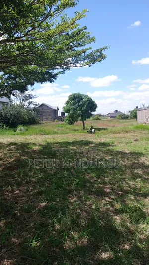 Ruiru-Matangi Junction;Prime Plots 40*80 Ft, Title