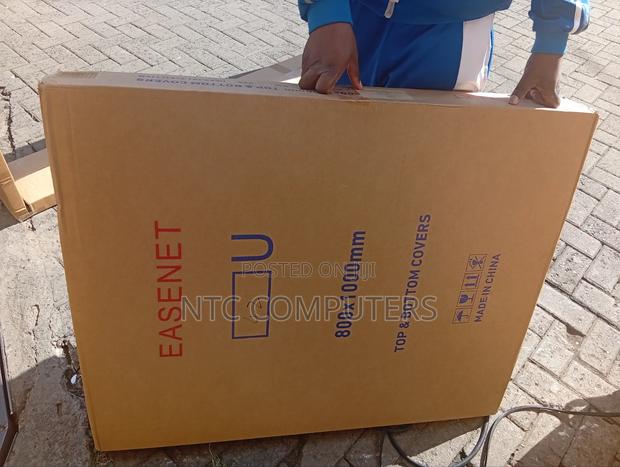 Easenet 42u Data Cabinet 800 X 1000{Mesh Door}