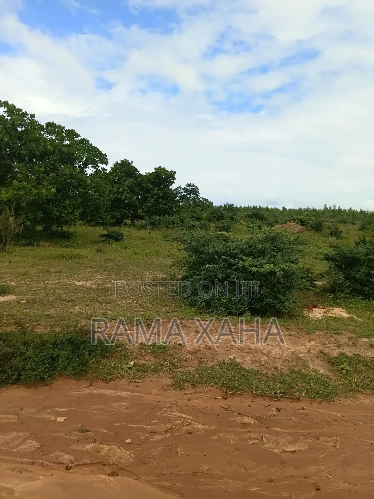 2.5 Acres for Sale at Sosobora With Ready Title Deed