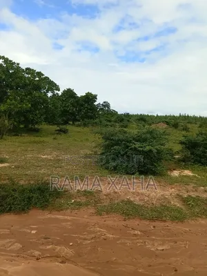 2.5 Acres for Sale at Sosobora With Ready Title Deed