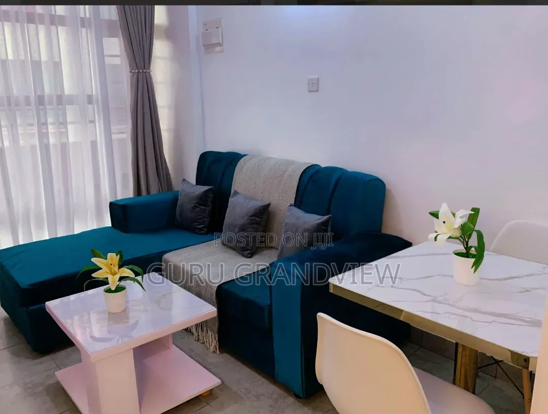 1 Bedroom TRM Roysambu Tsavo
