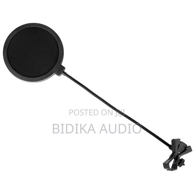 Professional Microphone Pop Filter With Adjustable Gooseneck