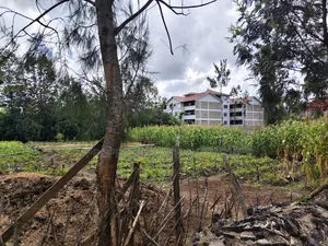 1/4 Acre Plot for Sale in Matasia, Ngong.