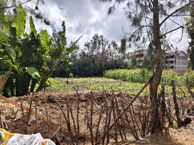 1/4 Acre Plot for Sale in Matasia, Ngong. - thumbnail 5