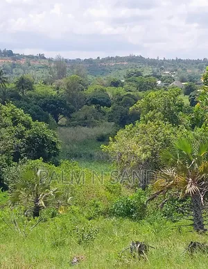7 Acres in Mabokoni Diani on Sale L