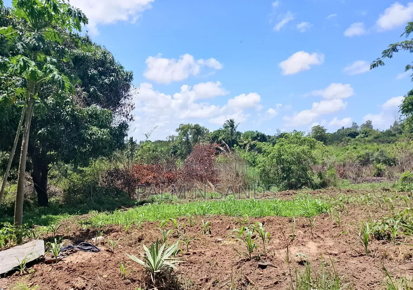 7 Acres in Mabokoni Diani on Sale L