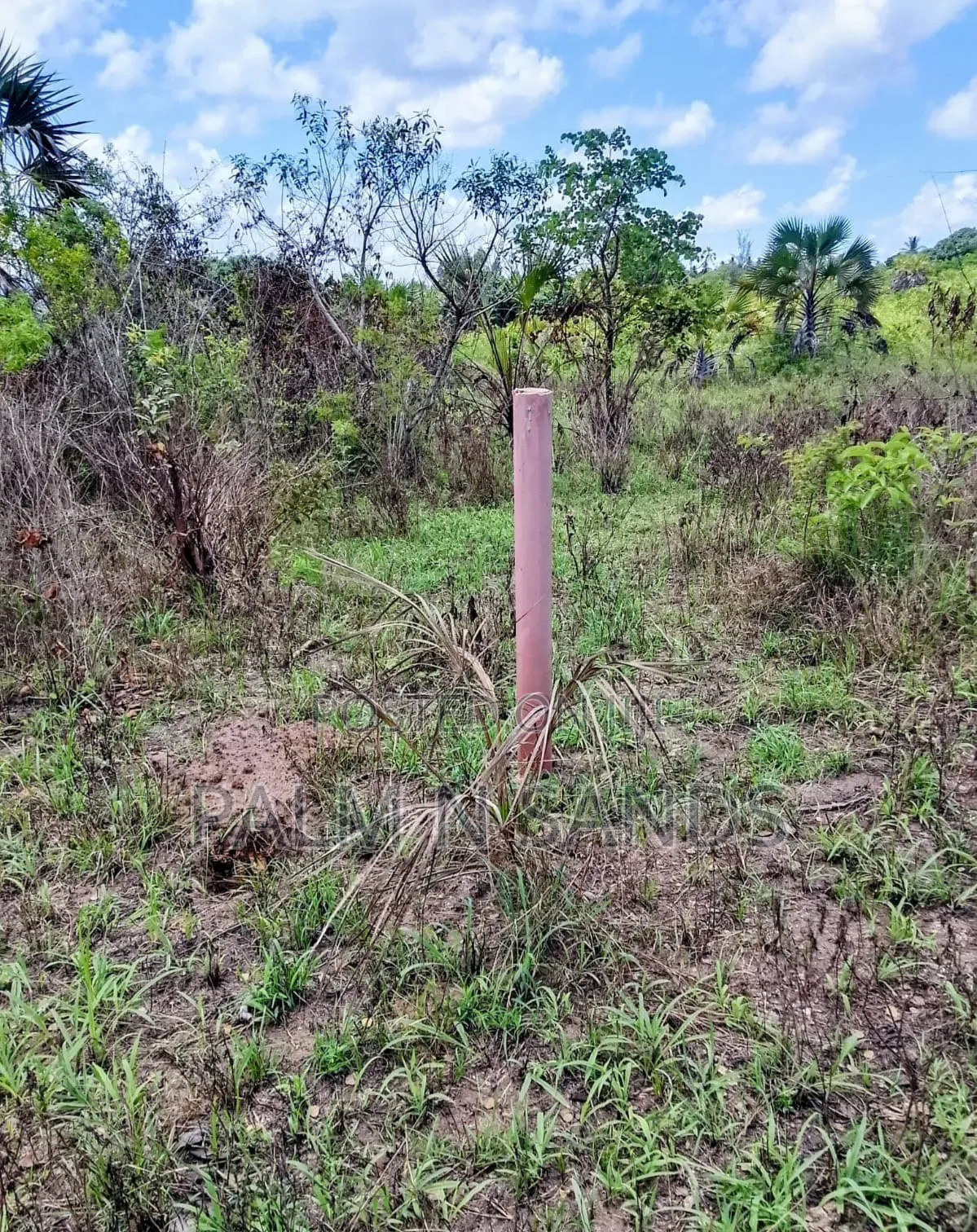 7 Acres in Mabokoni Diani on Sale L