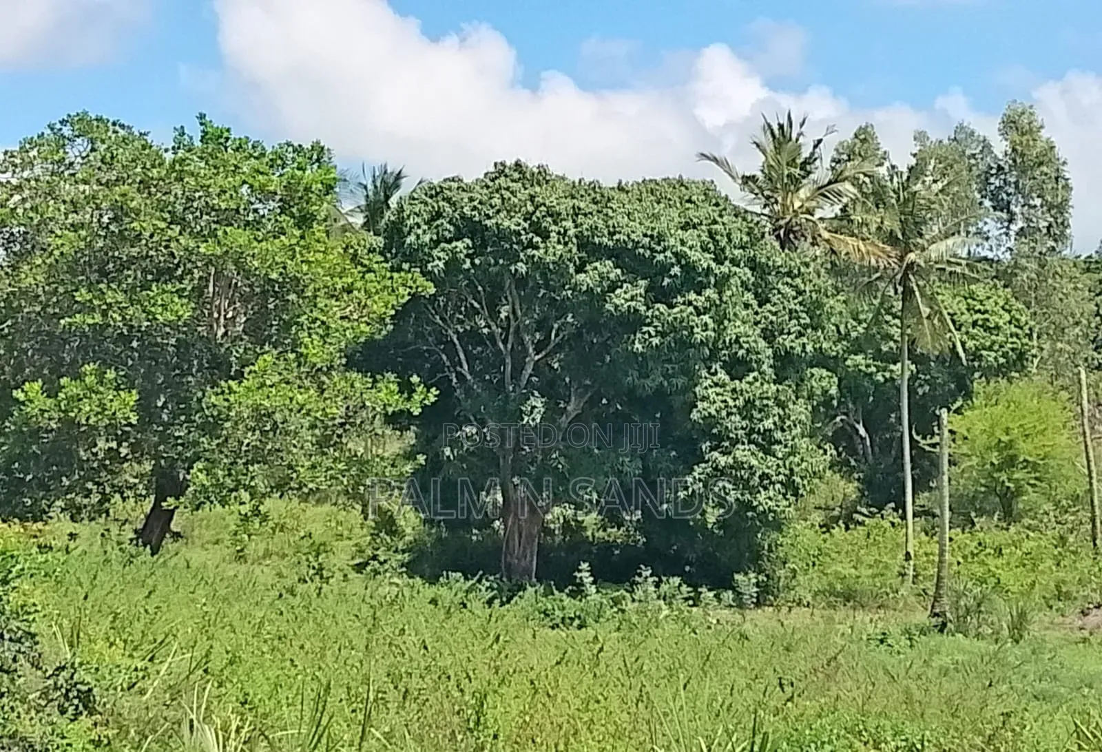 7 Acres in Mabokoni Diani on Sale L