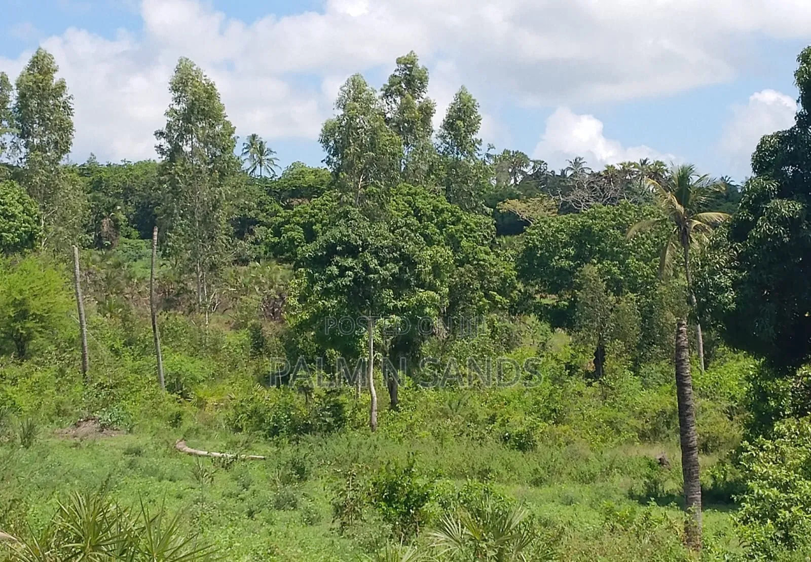 7 Acres in Mabokoni Diani on Sale L