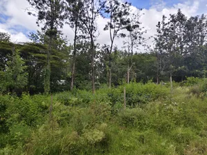 1/8 Acre Plot for Sale in Merisho, Ngong.