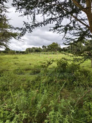 1/8 Acre Plots for Sale in Merisho, Ngong.