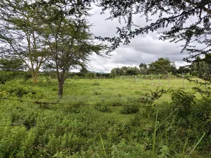 1/8 Acre Plots for Sale in Merisho, Ngong.
