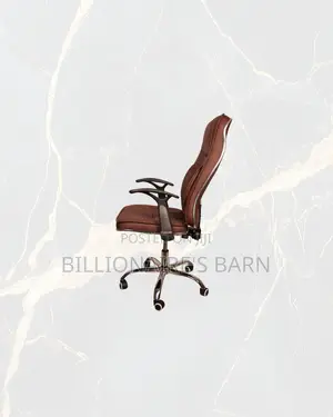 Ergonomic Executive Chair High Back Padded Armrest Now in Stock