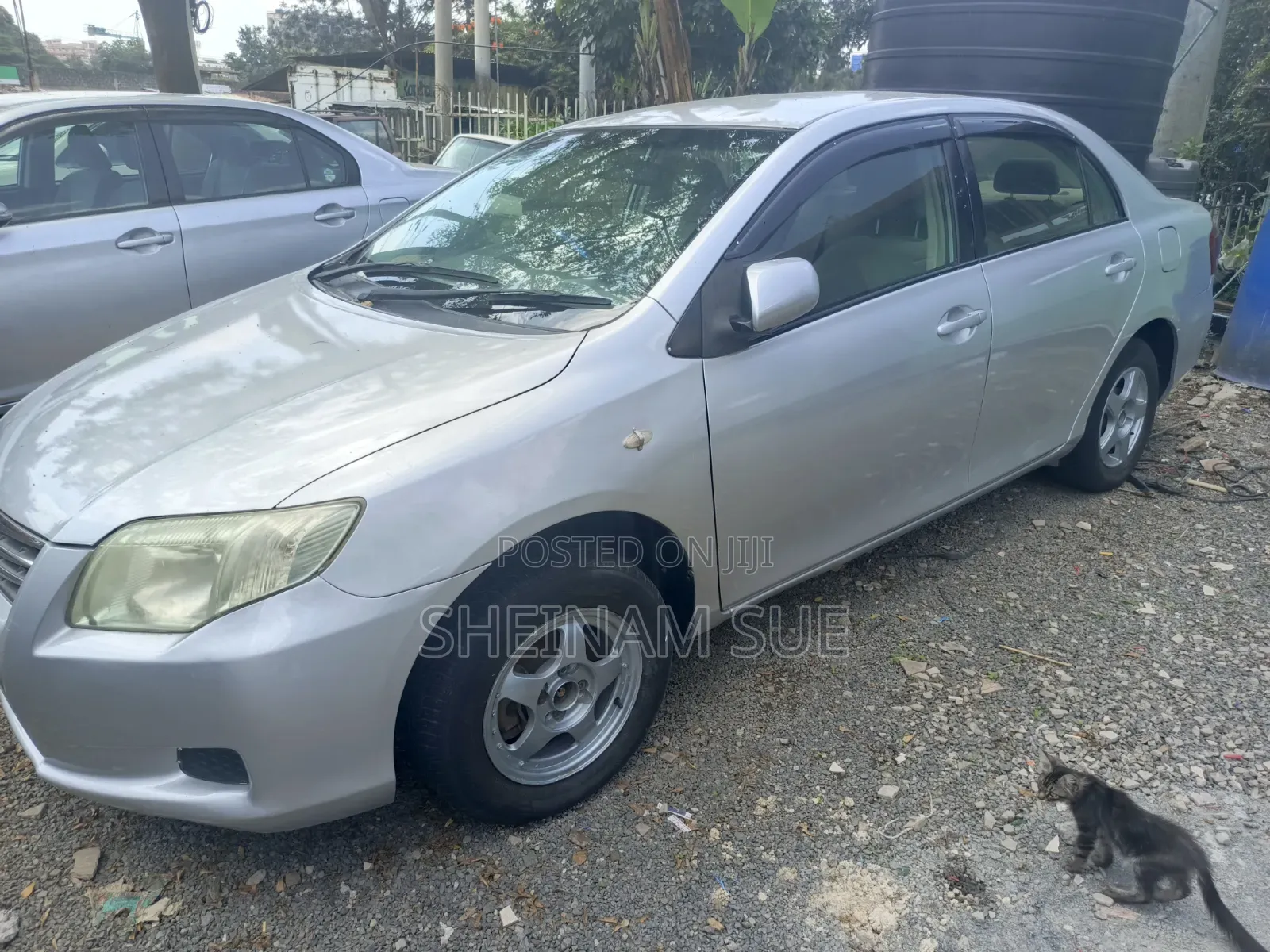 Toyota Axio 2010 Silver