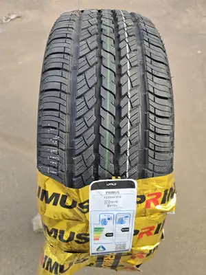 235 /55 R19 Boto Tires.