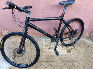 Hybrid Bike