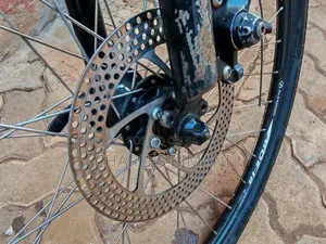 Hybrid Bike