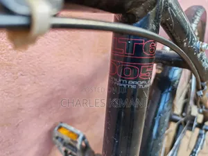 Hybrid Bike