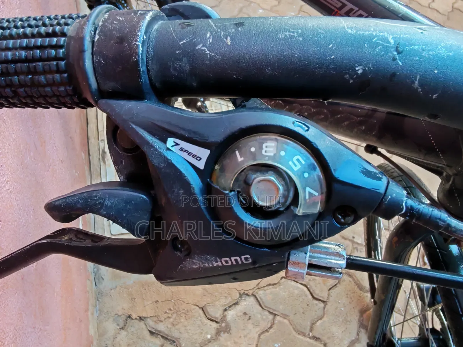 Hybrid Bike