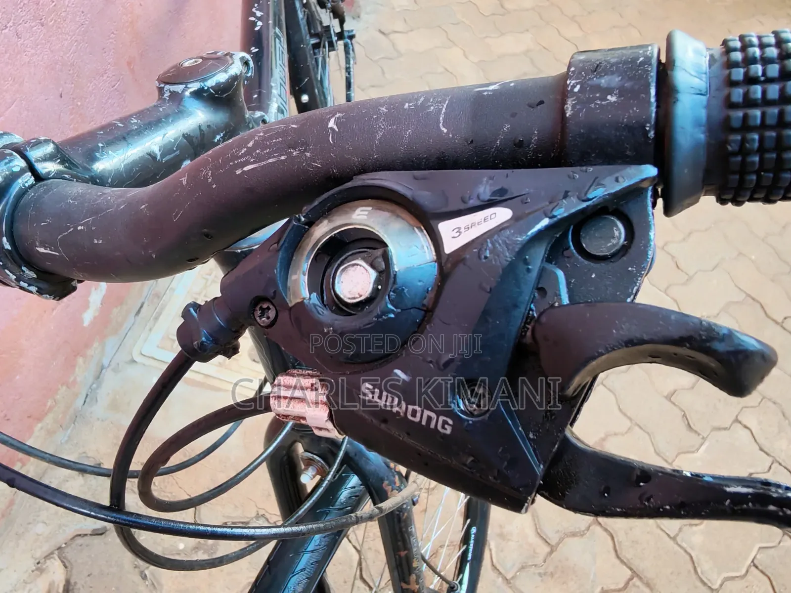 Hybrid Bike