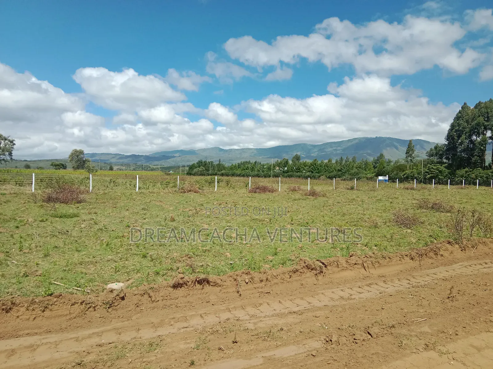 Residential Plots